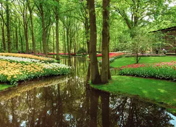 Ámsterdam verde: naturaleza y sostenibilidad